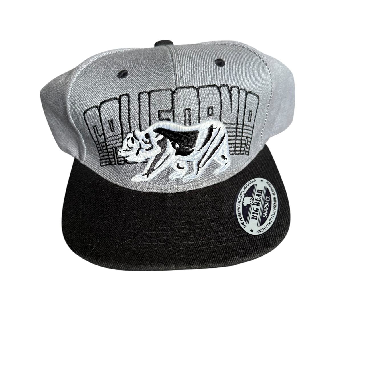 Big Bear California Snapback Hat
