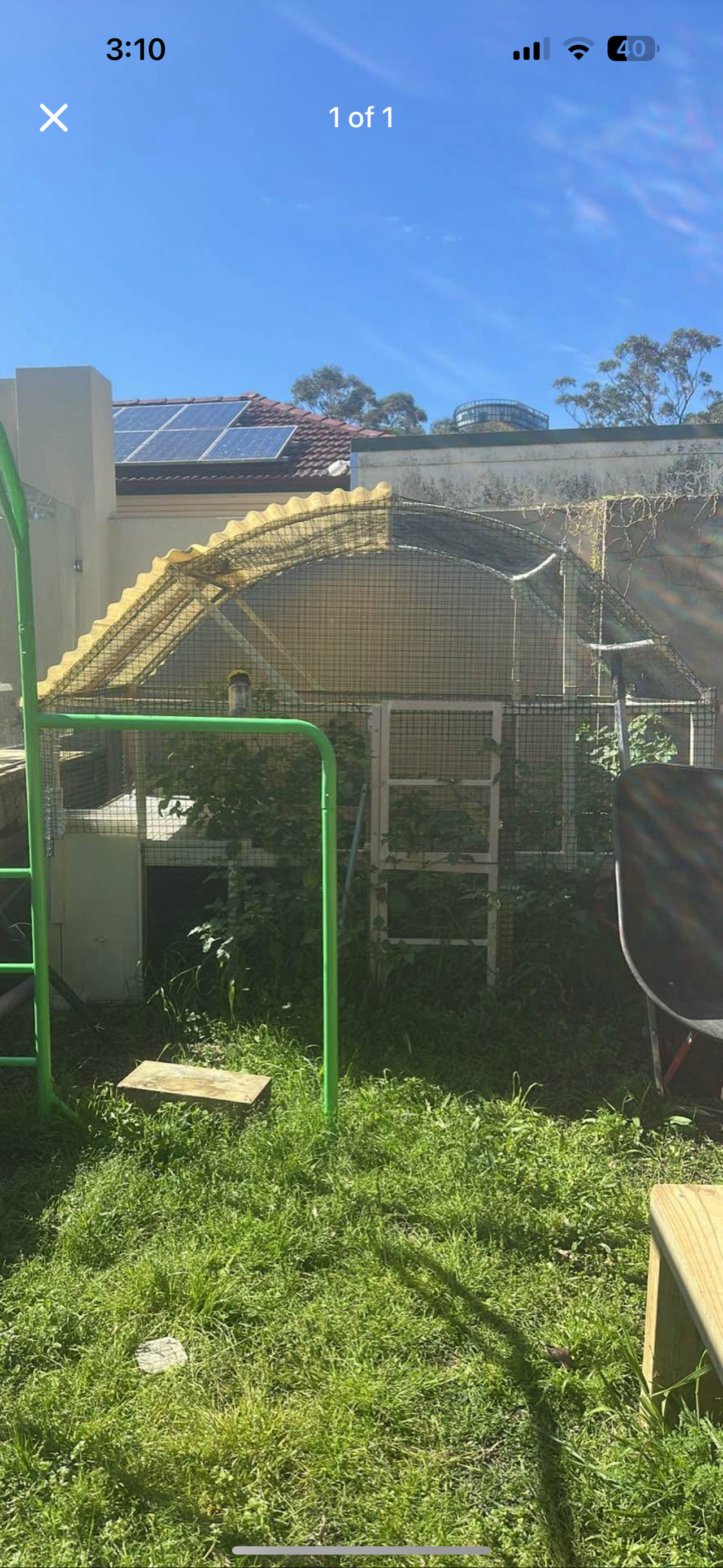 Outdoor Chicken Coop