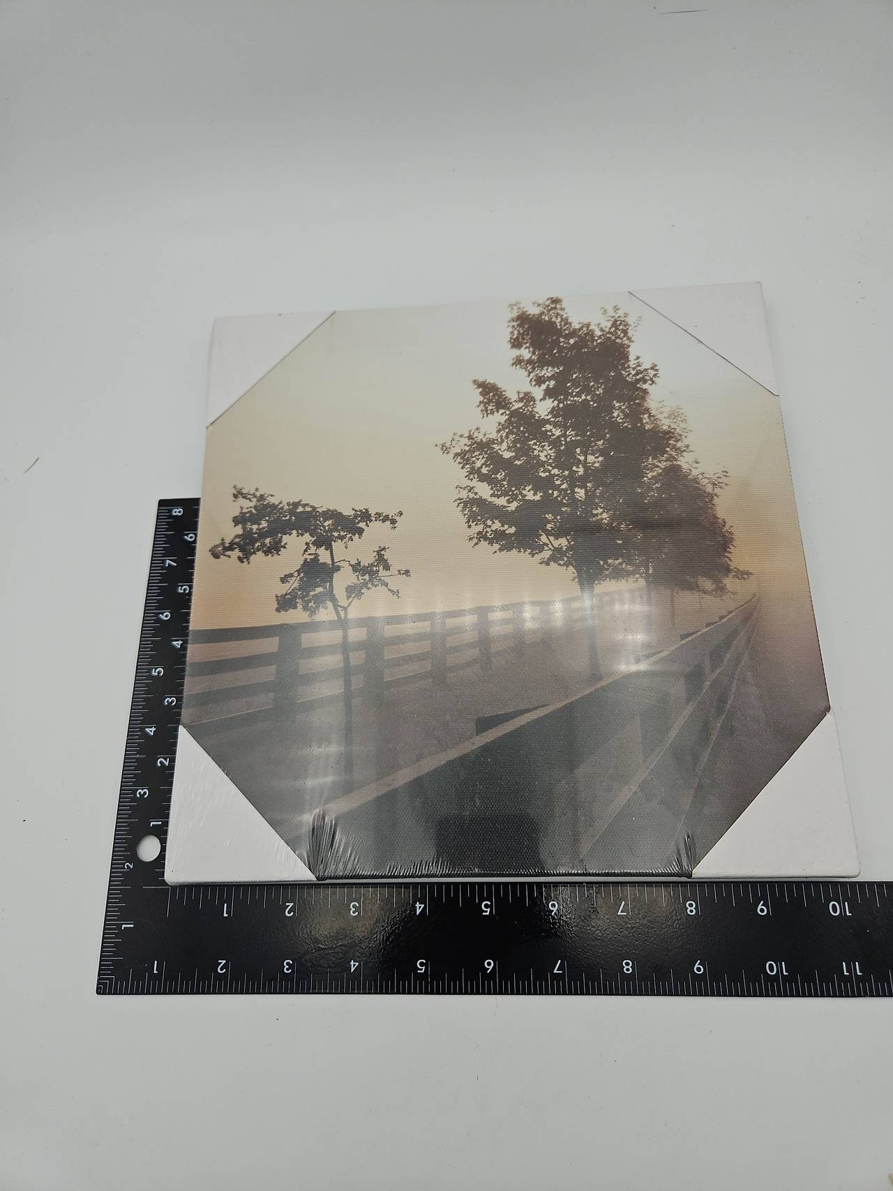 Sepia Landscape Canvas Wall Art Set of 2