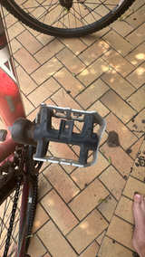 Avanti Montari - Image 5