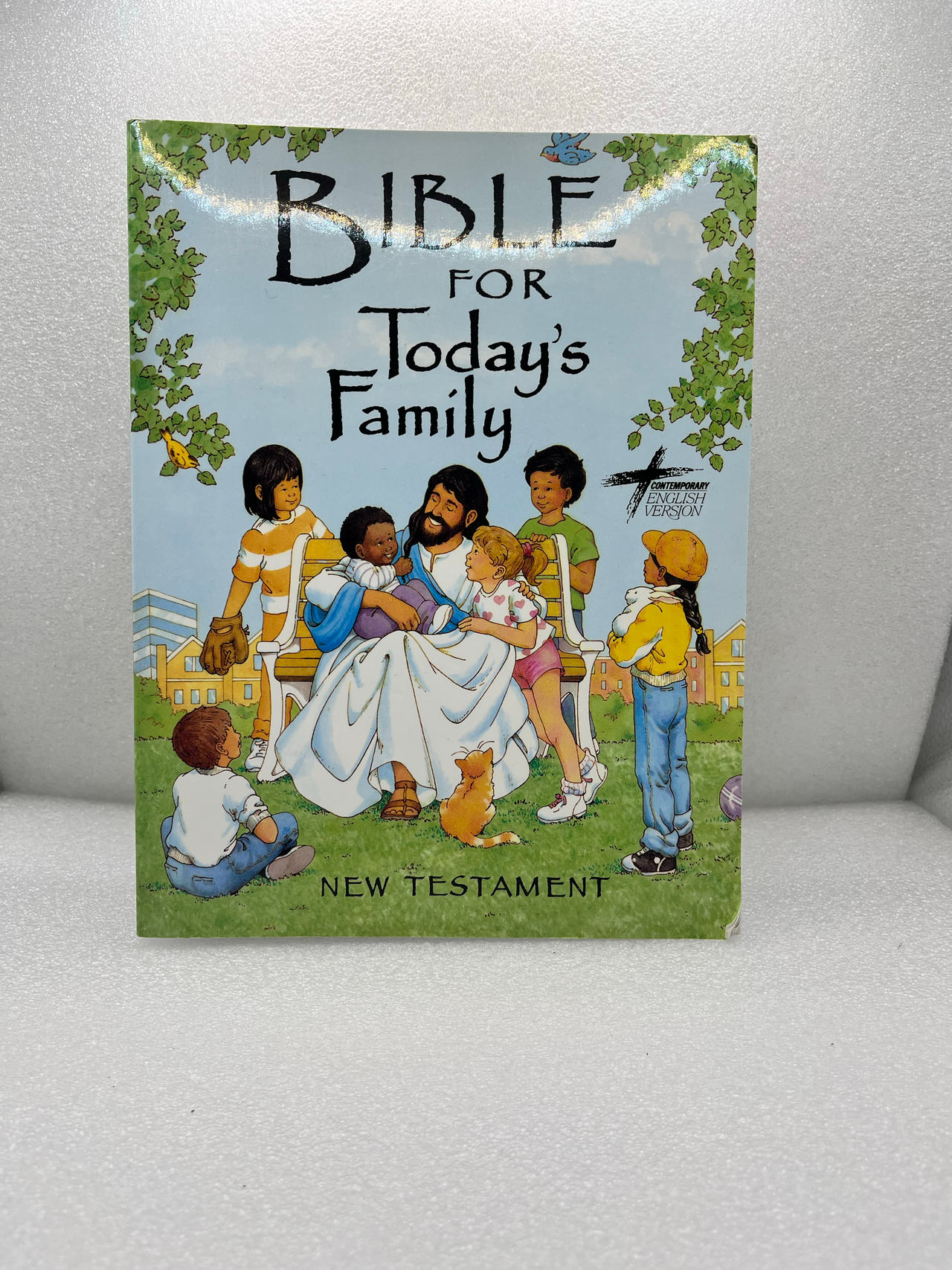 Bible for Today's Family: New Testament