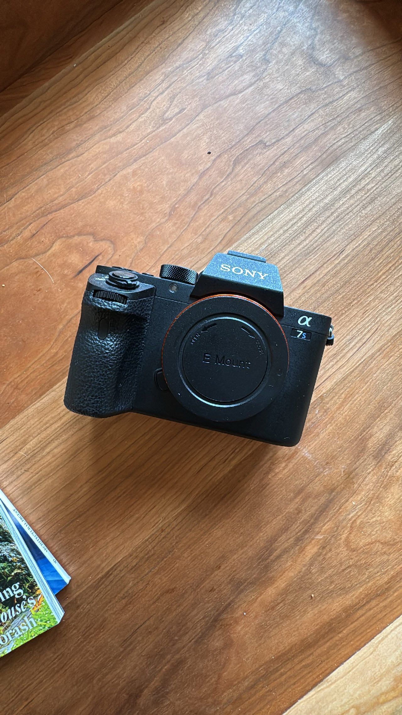 Sony Alpha 7S