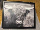 Highland Cow Framed Canvas Wall Art - Image 7