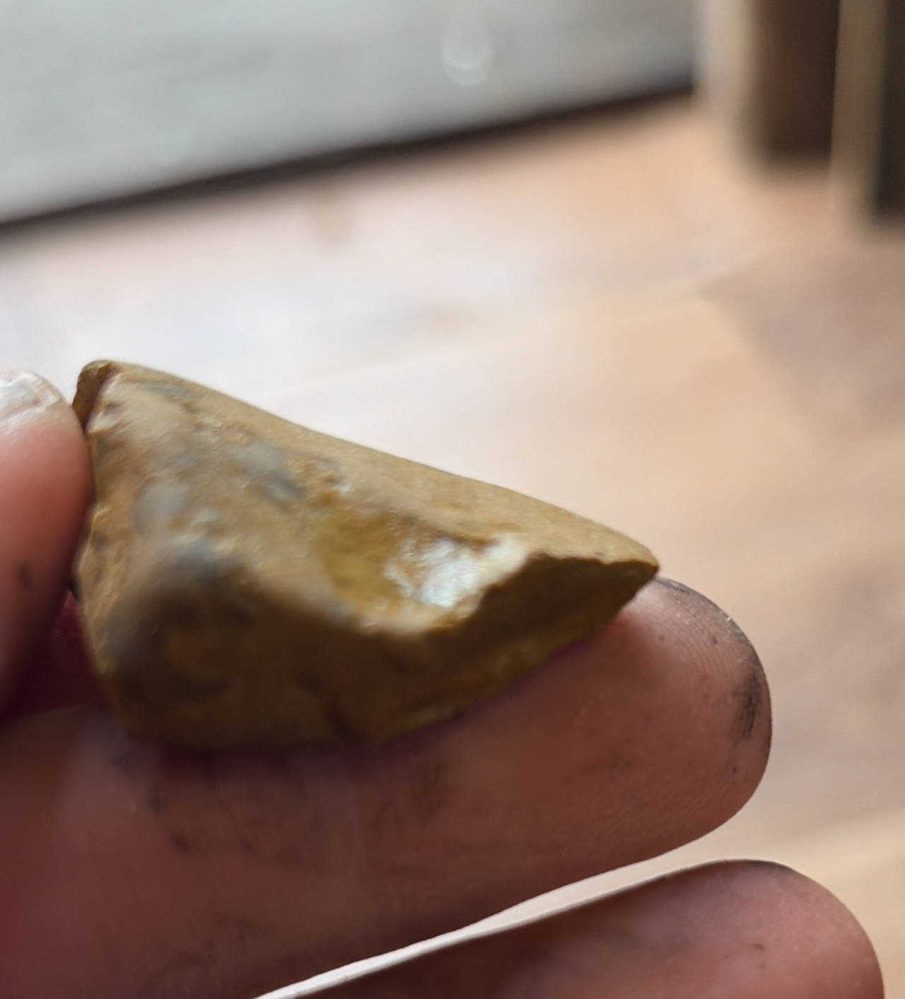 Native American Triangular Arrowhead Artifact