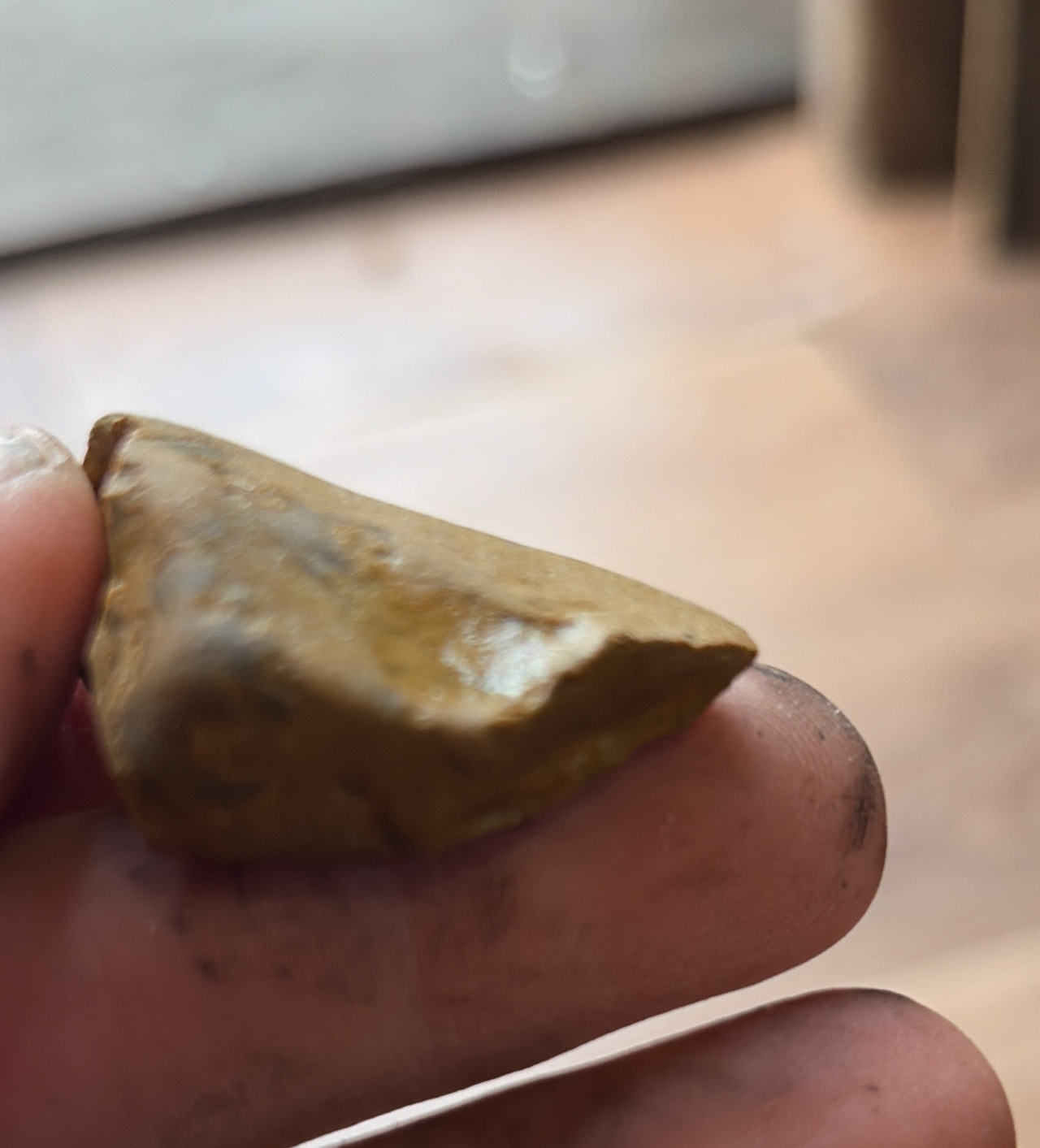 Native American Triangular Arrowhead Artifact