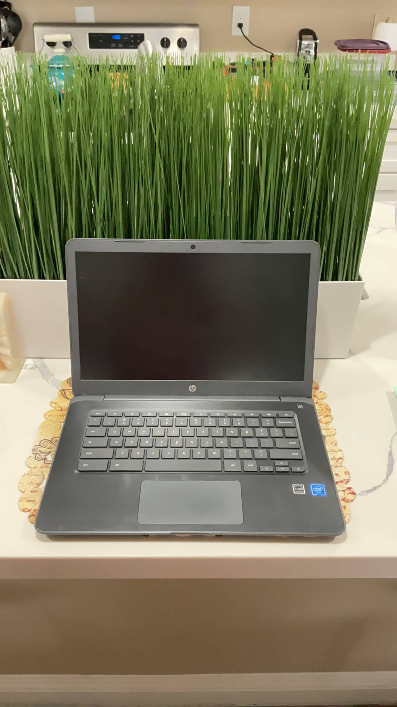 HP Chromebook