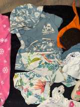 Newborn Baby Girl Clothing Lot - Image 7
