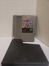 Wizards & Warriors (Nintendo Entertainment System) - Image 2