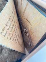 Smithsonian Wild Heritage Black-Tailed Jackrabbit Plush & Book Set New Vintage - Image 7