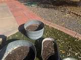 Vintage Metal Tin Can Rusty Steampunk Trash Pail- $20 Each - Image 4