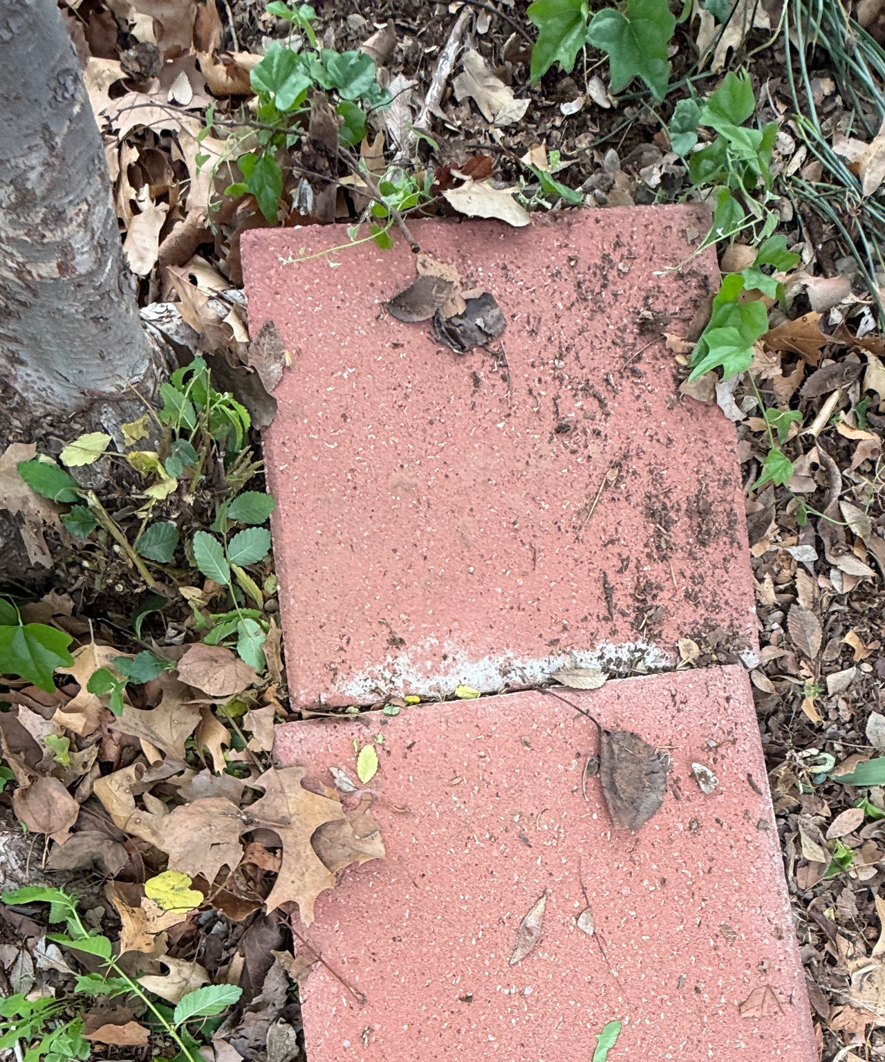 7 Red Square Concrete Stepping Stone