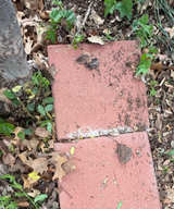 7 Red Square Concrete Stepping Stone - Image 1