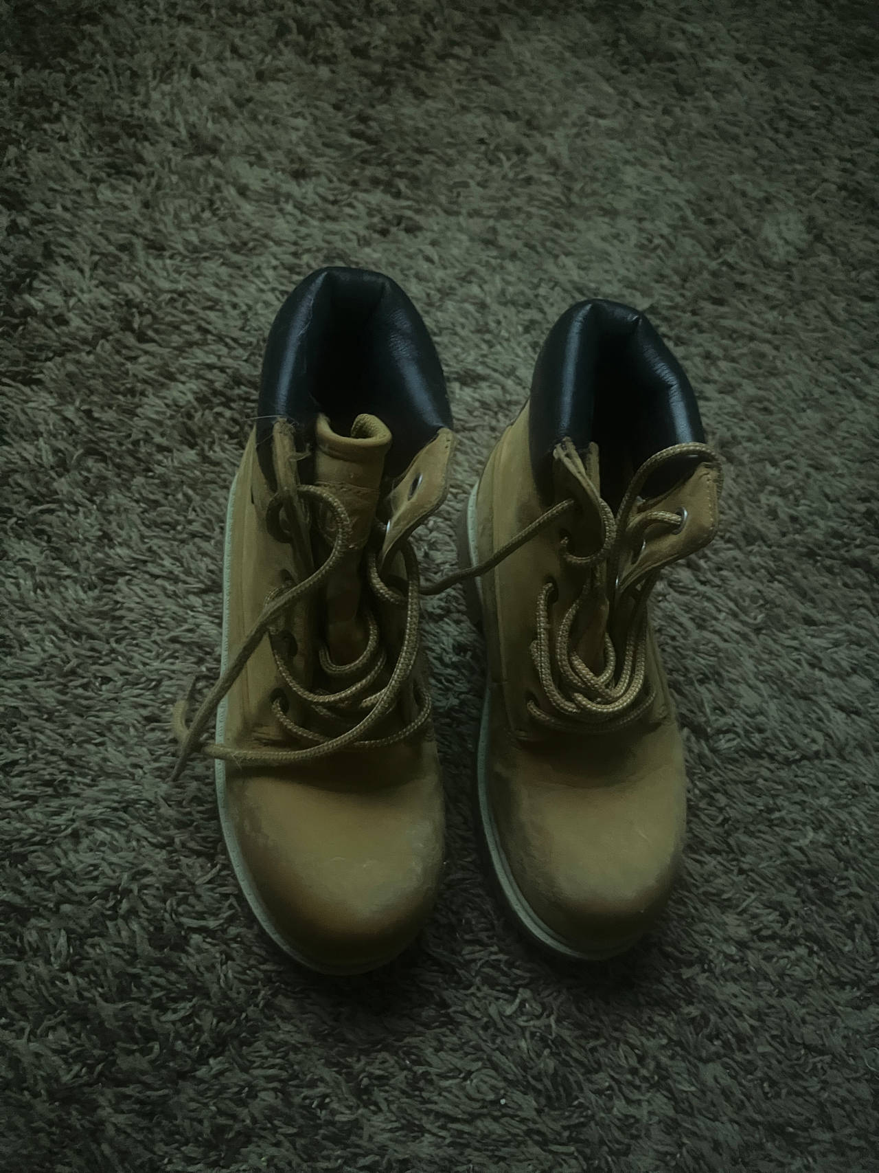 Timberland 6-Inch Premium Waterproof Boots