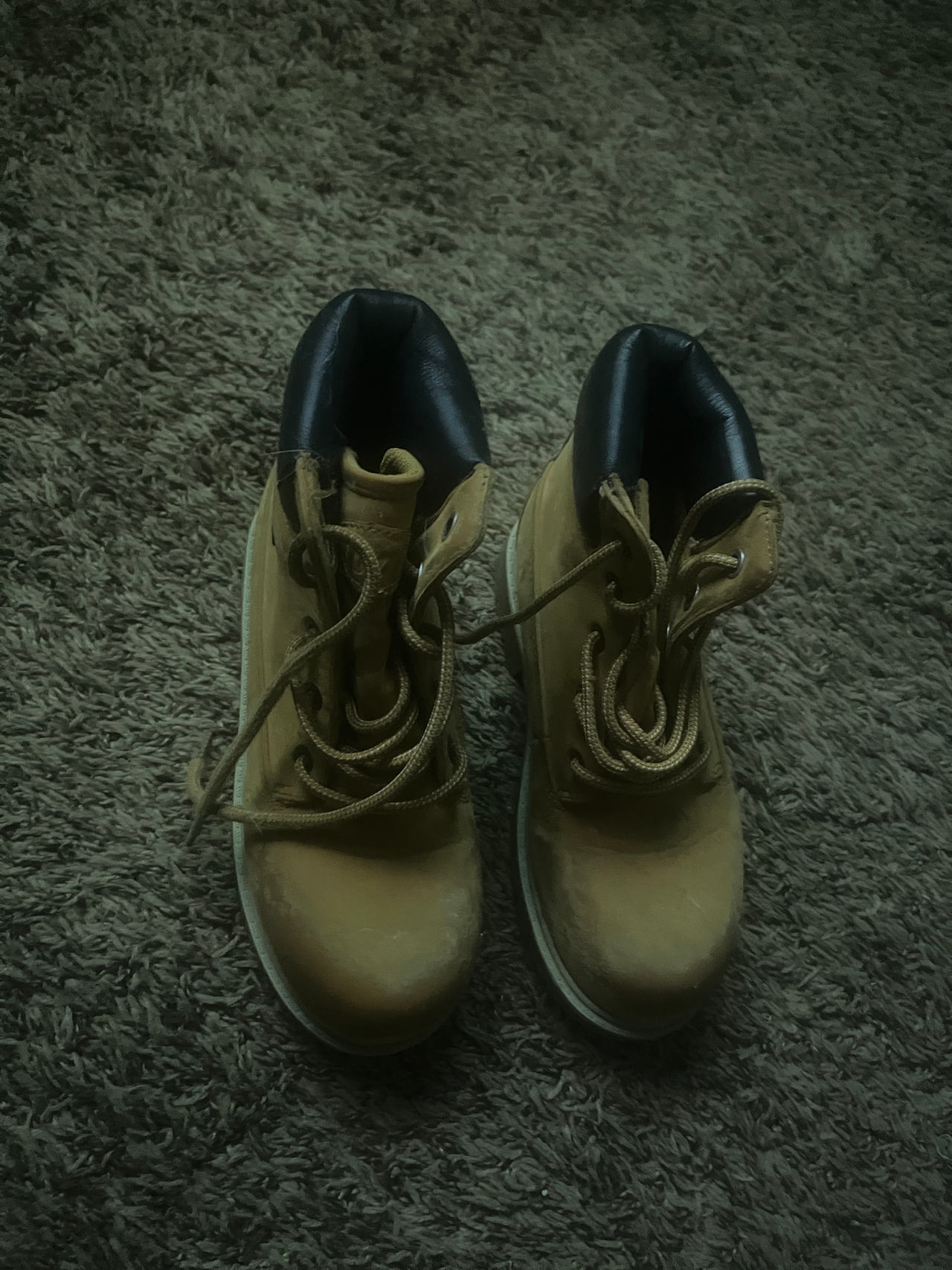 Timberland 6-Inch Premium Waterproof Boots
