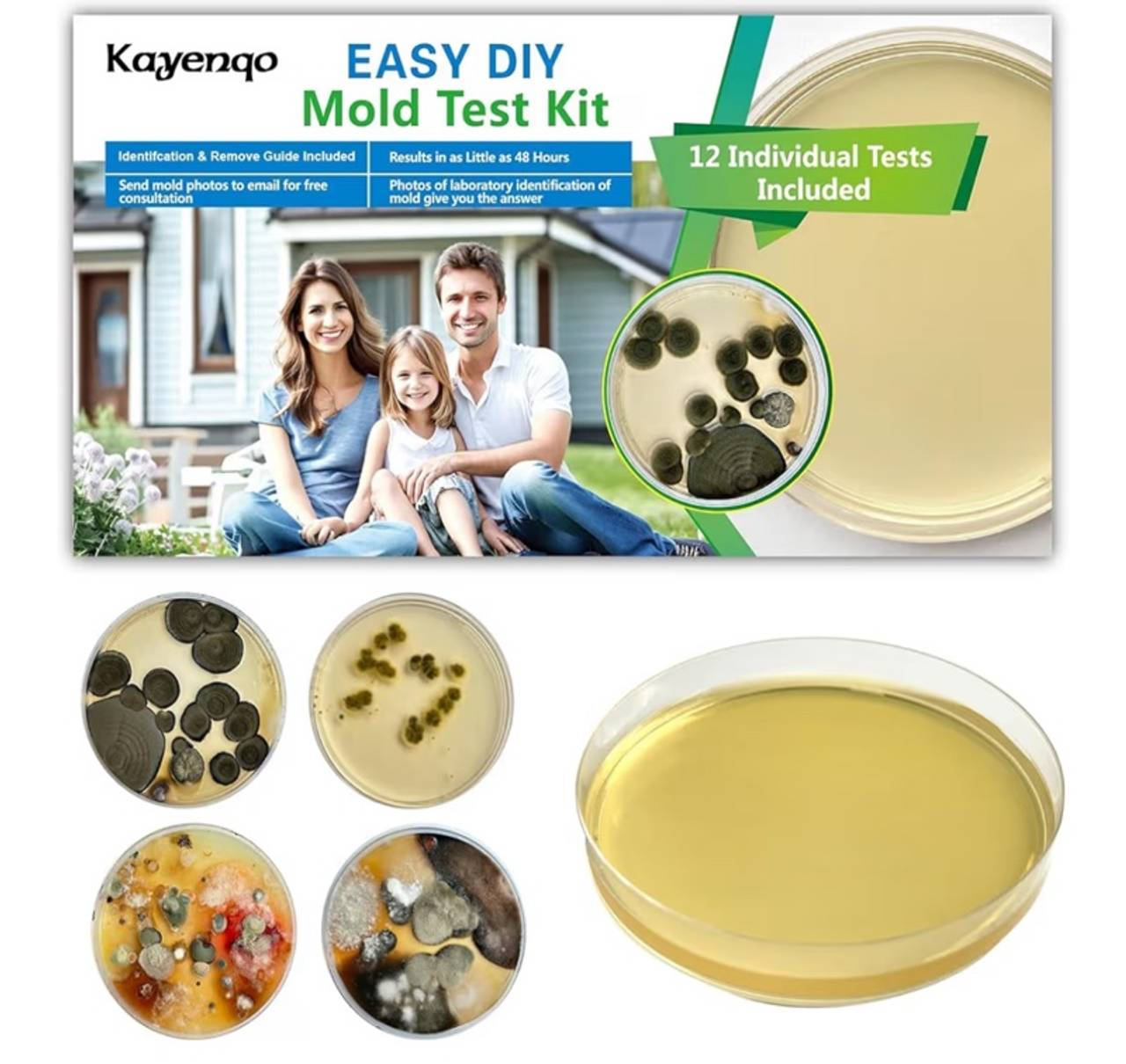 Healthful Home 12-Test Mold Detection Kit