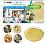 Healthful Home 12-Test Mold Detection Kit - Image 1