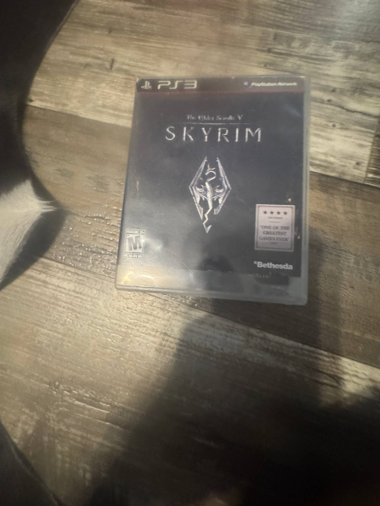 The Elder Scrolls V: Skyrim