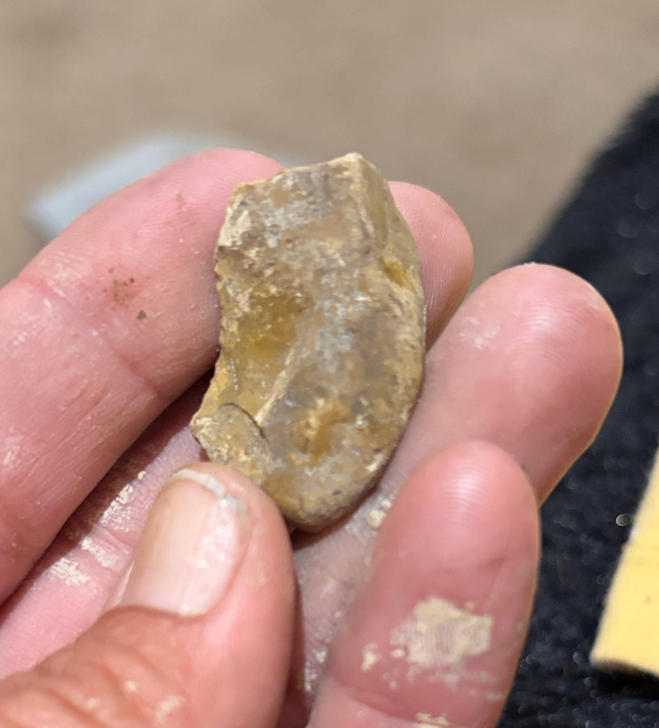 Native American Stone Tool Artifact