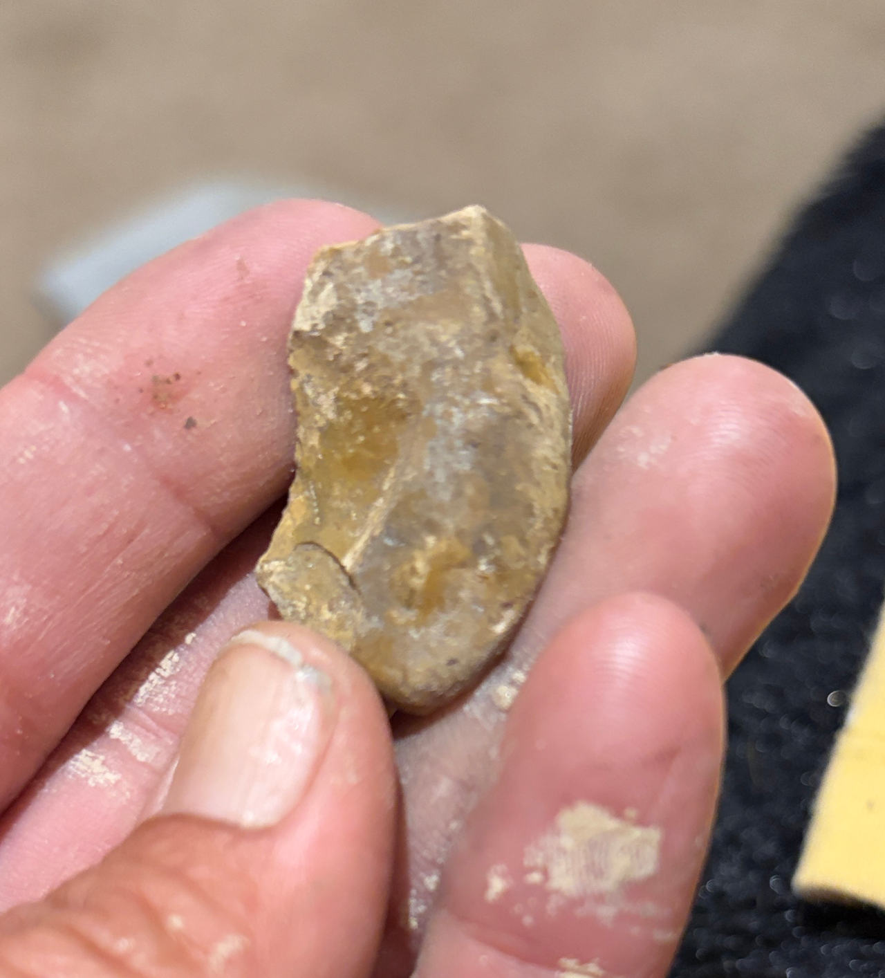 Native American Stone Tool Artifact