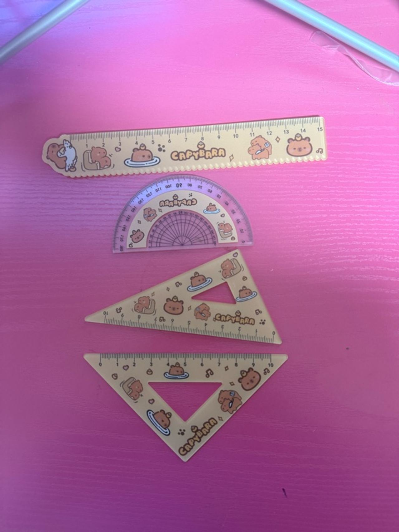 Capybara 4-Piece Cute Ruler Set
