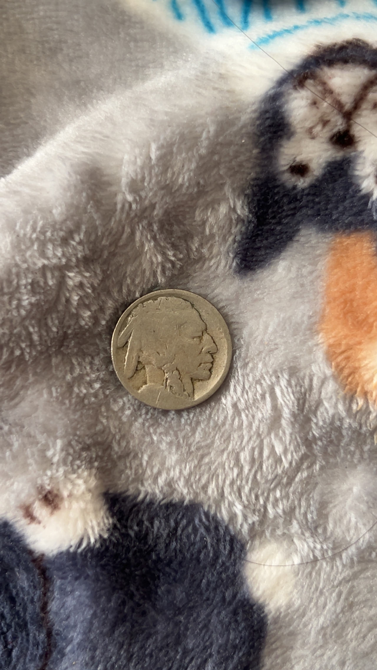 Buffalo Nickel