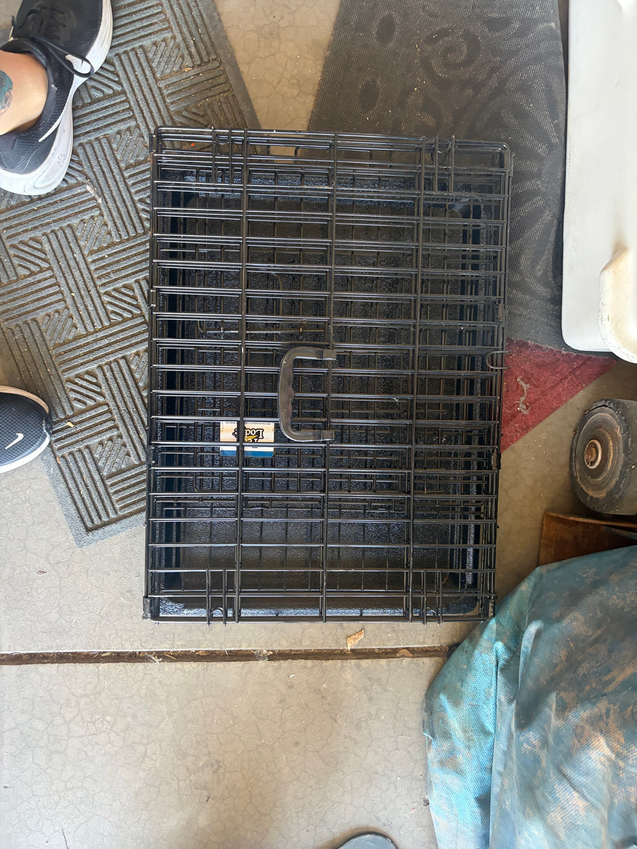 MidWest iCrate Folding Metal Dog Crate