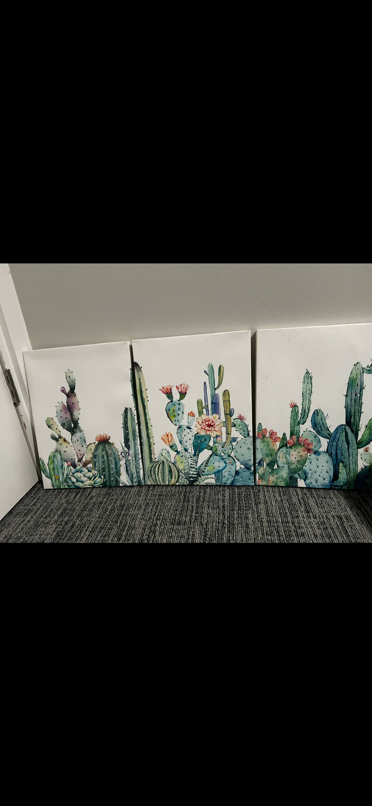 3 Piece Cactus Canvas Wall Art Set