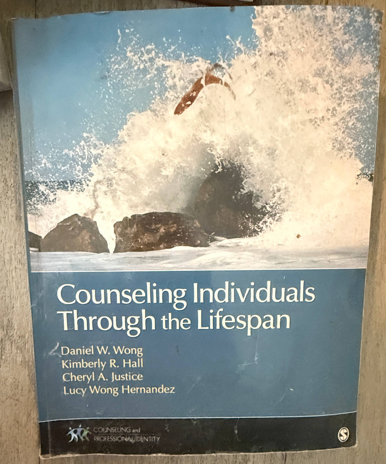 Counseling Individuals Through the Lifespan (Counseling and Professional Identity)
