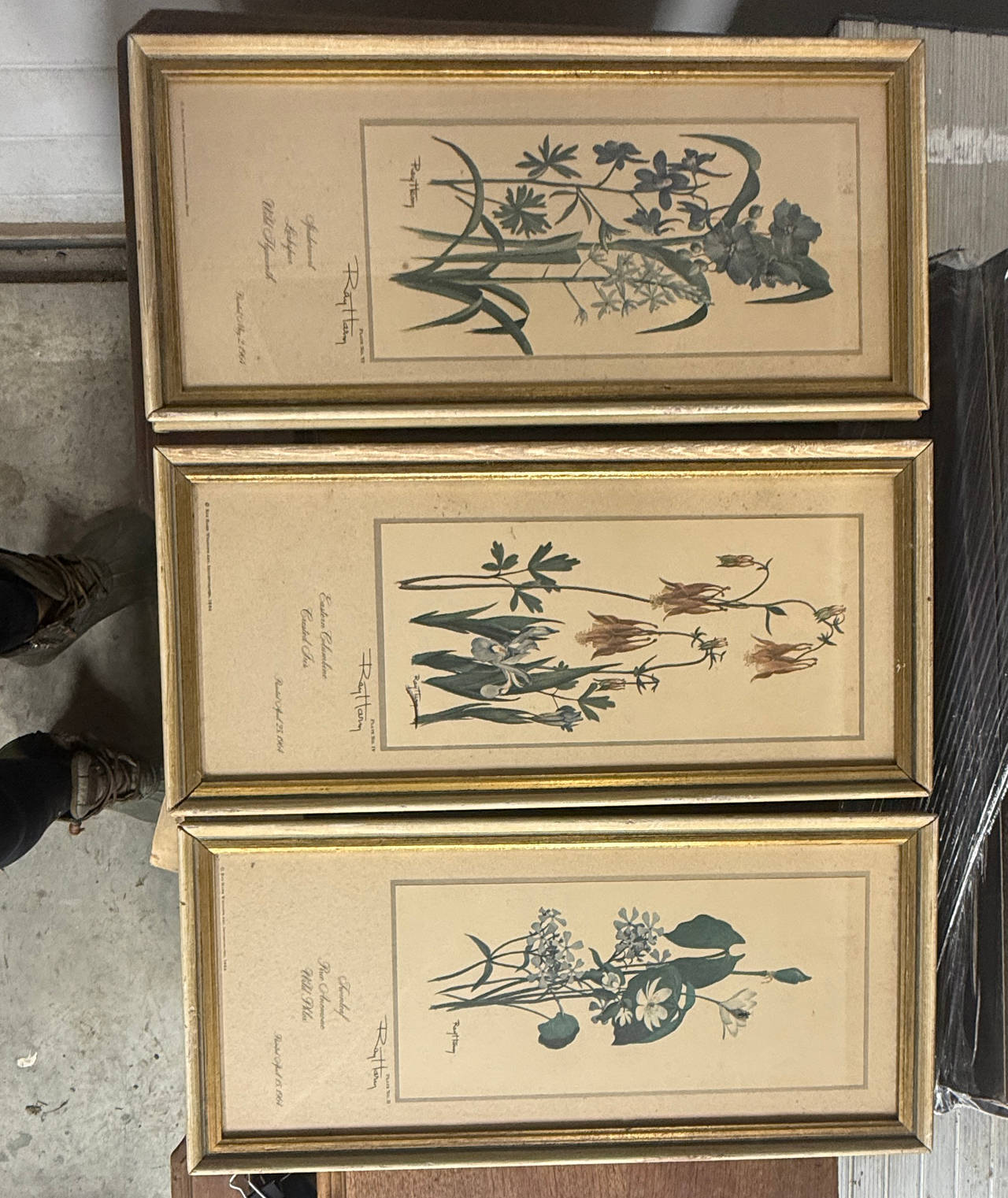 Ray Harm Framed Wildflower Prints Set of 3