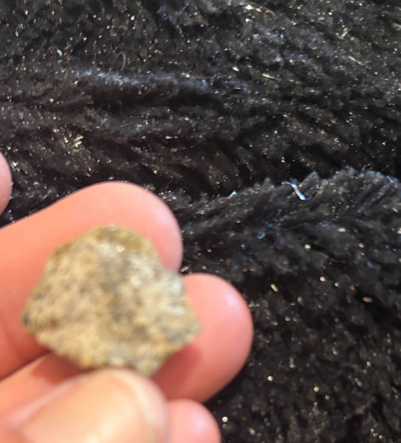 Raw Mineral Specimen