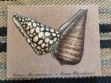 Vintage 3D Fabric Seashell Botanical Wall Art Set - Image 3