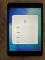 Apple iPad Mini Space Gray 64BG WiFi Unlocked  - Image 3