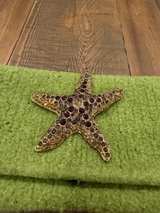 Sarah Oliver Handmade Green Felt Clutch Purse Starfish Jewel Pendant on Bag - Image 2