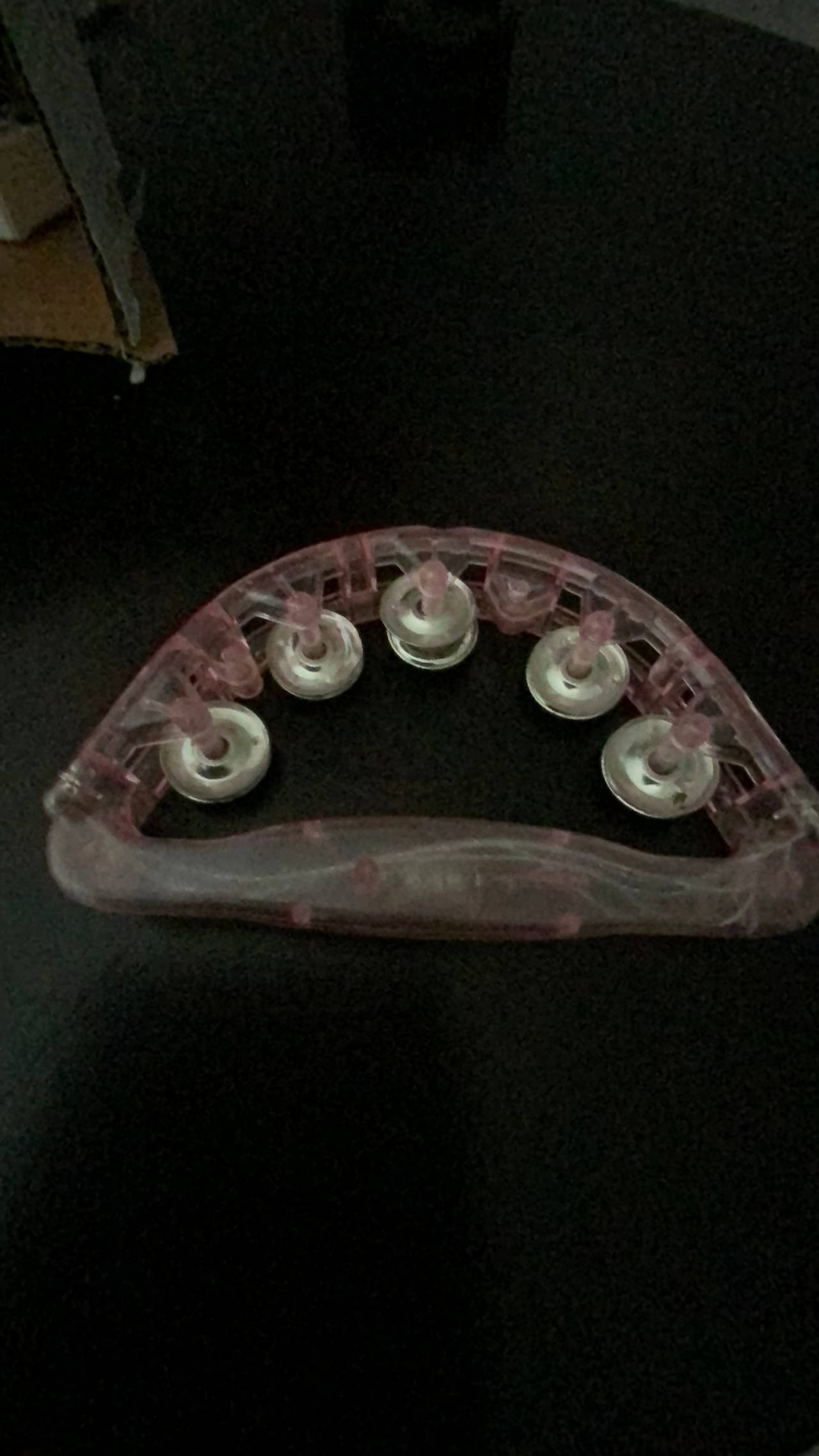Light Up LED Tambourine