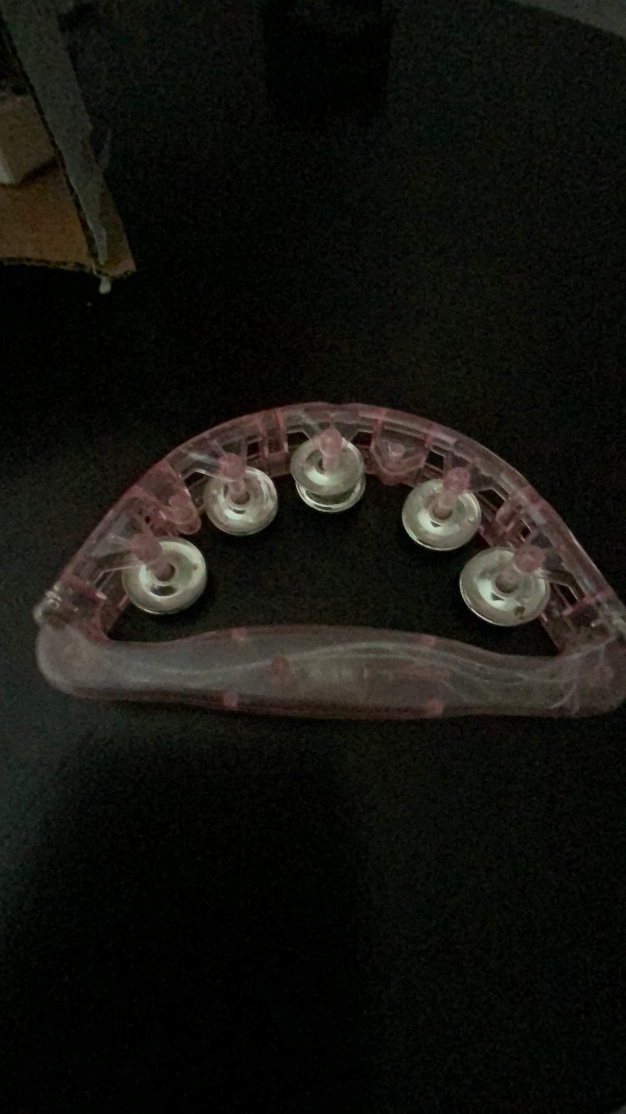 Light Up LED Tambourine
