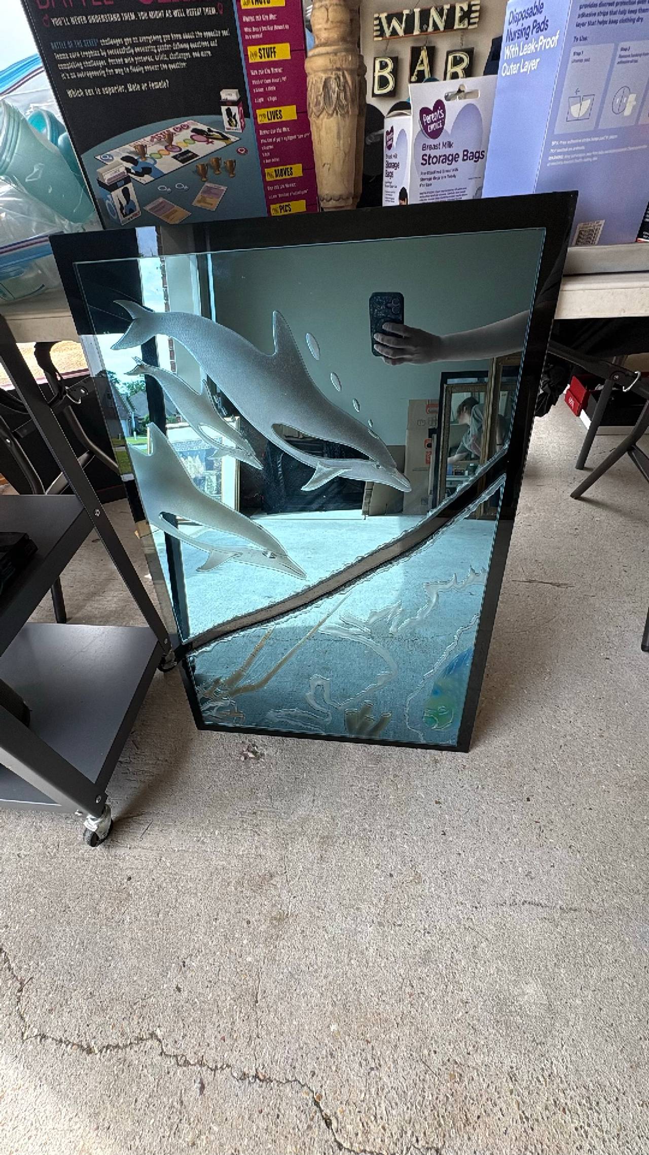 Vintage Etched Dolphin Glass Mirror by Steven Lee