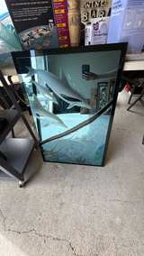 Vintage Etched Dolphin Glass Mirror by Steven Lee - Image 1