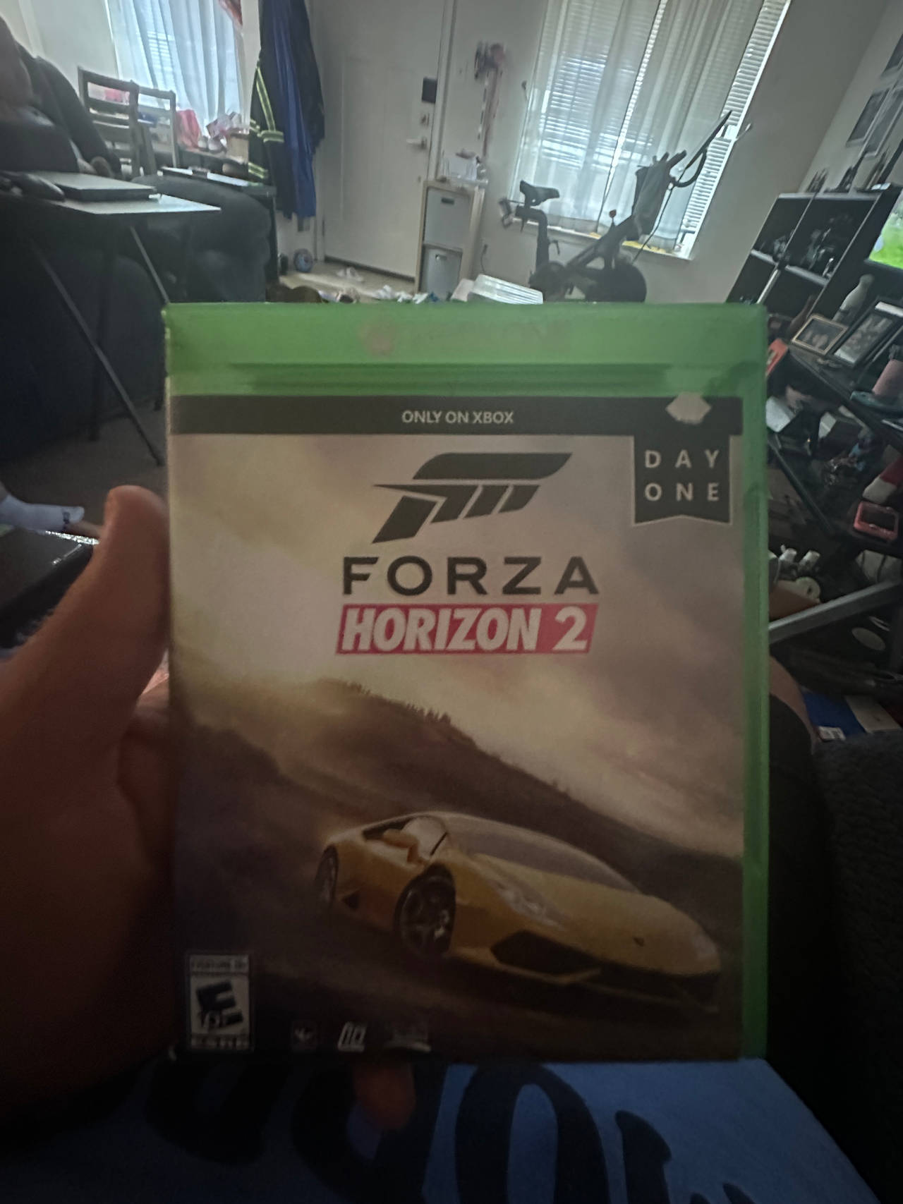 Forza Horizon 2