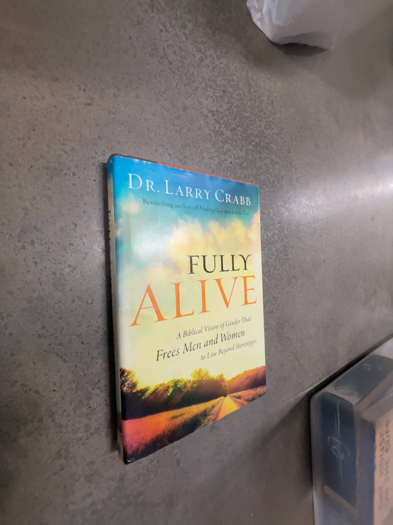 Fully Alive: Discovering What Matters Most