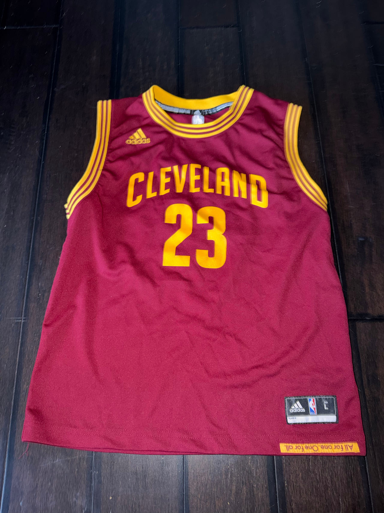 adidas LeBron James Cleveland Cavaliers Youth Replica Jersey LARGE