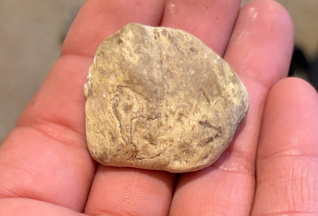 Native American Stone Effigy Artifact