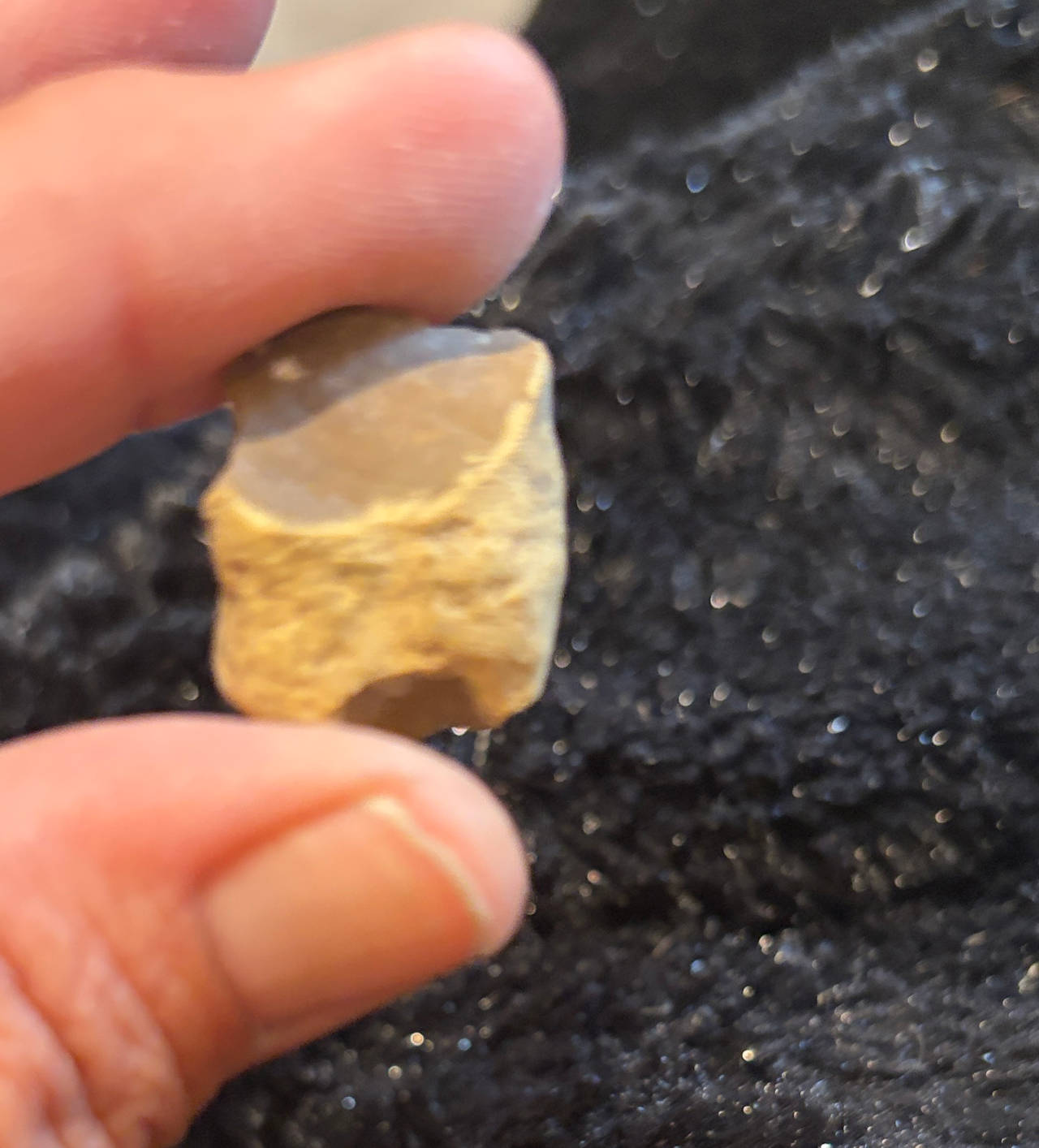 Native American Chert Scraper Fragment