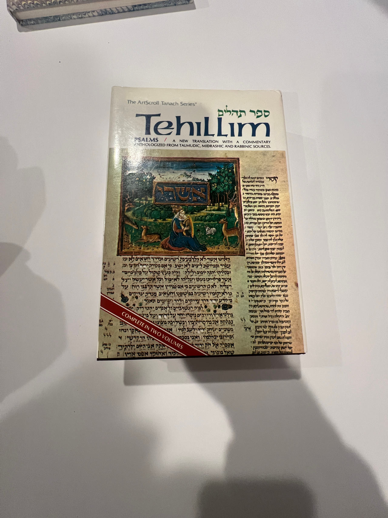 ArtScroll Tehillim Tanach Series 2-Volume Set