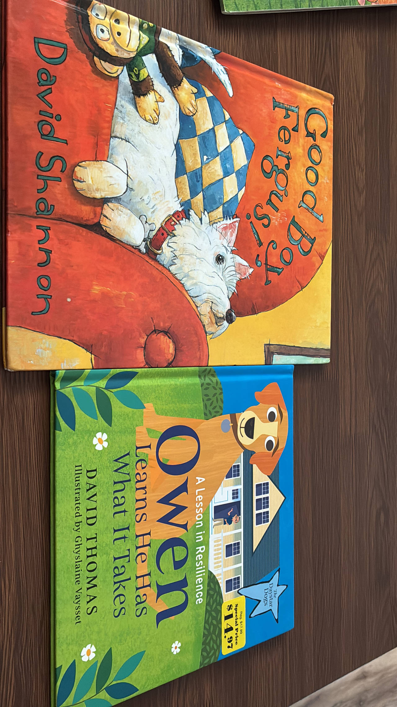 Good Boy, Fergus! by David Shannon
Owen learns he has what it takes