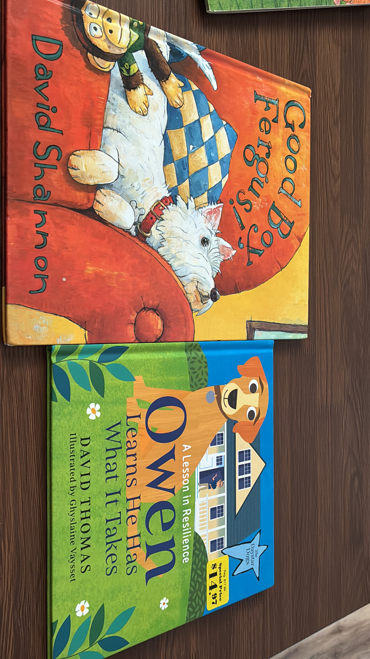 Good Boy, Fergus! by David Shannon
Owen learns he has what it takes