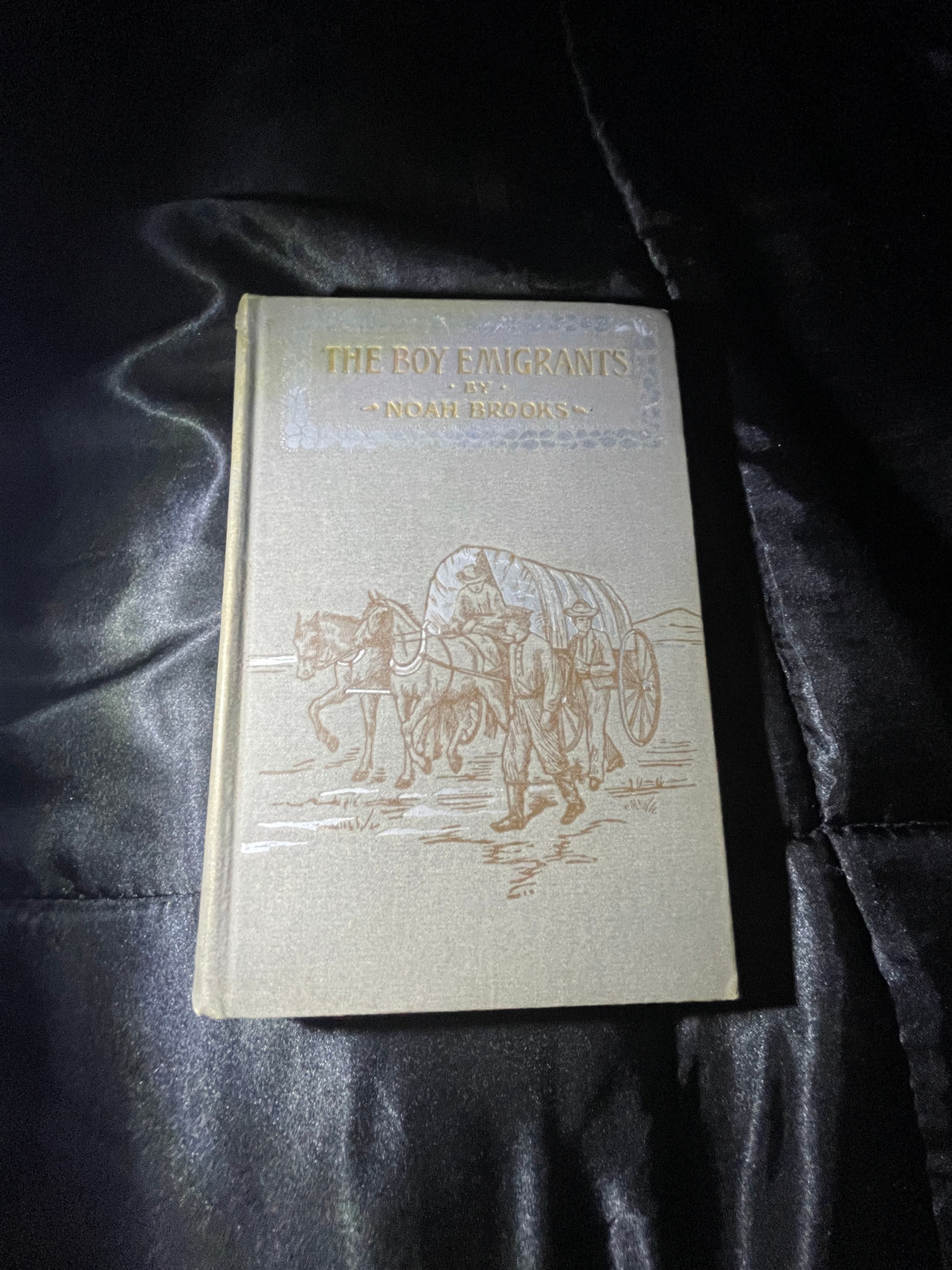 The Boy Emigrants by Noah Brooks