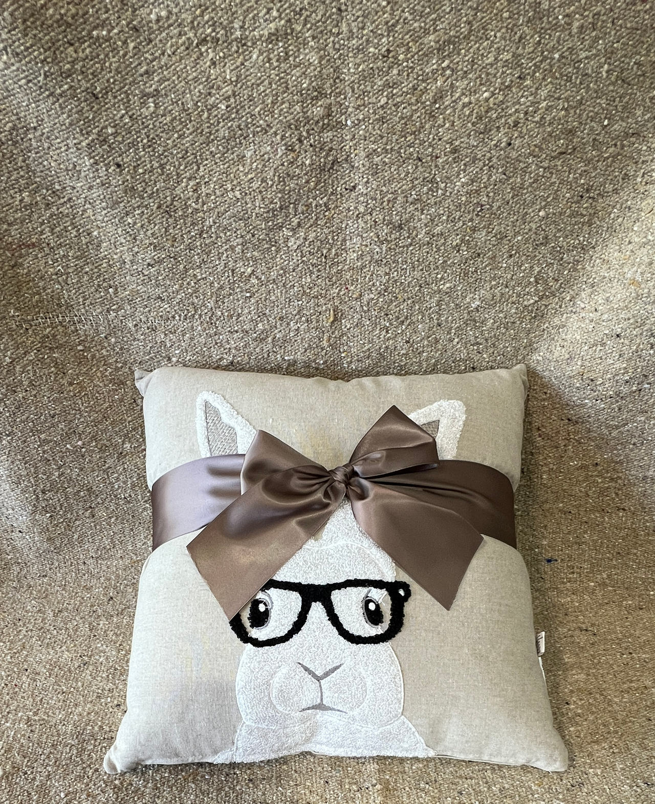Pier 1 Imports Bunny with Glasses Decorative Pillow