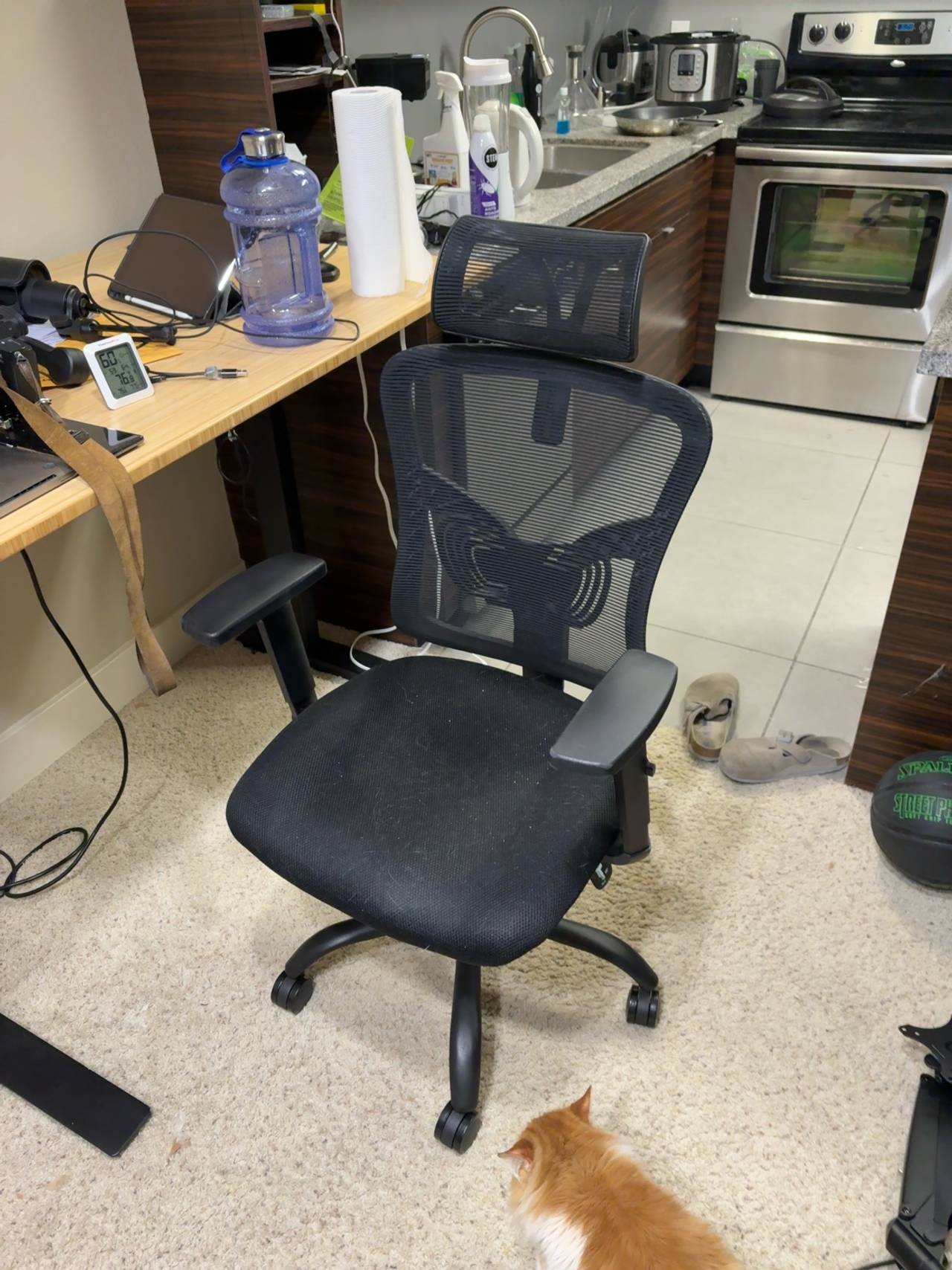 High Back Ergonomic Office Chair with Lumbar Support