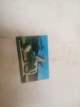 Vintage Pegasus Statue Postcard - Image 2