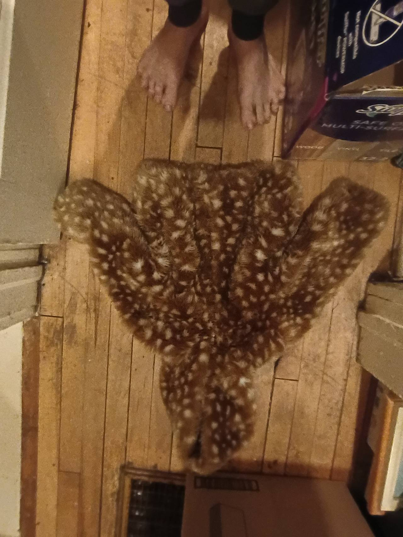 Faux Fur Fawn Print Hooded Jacket